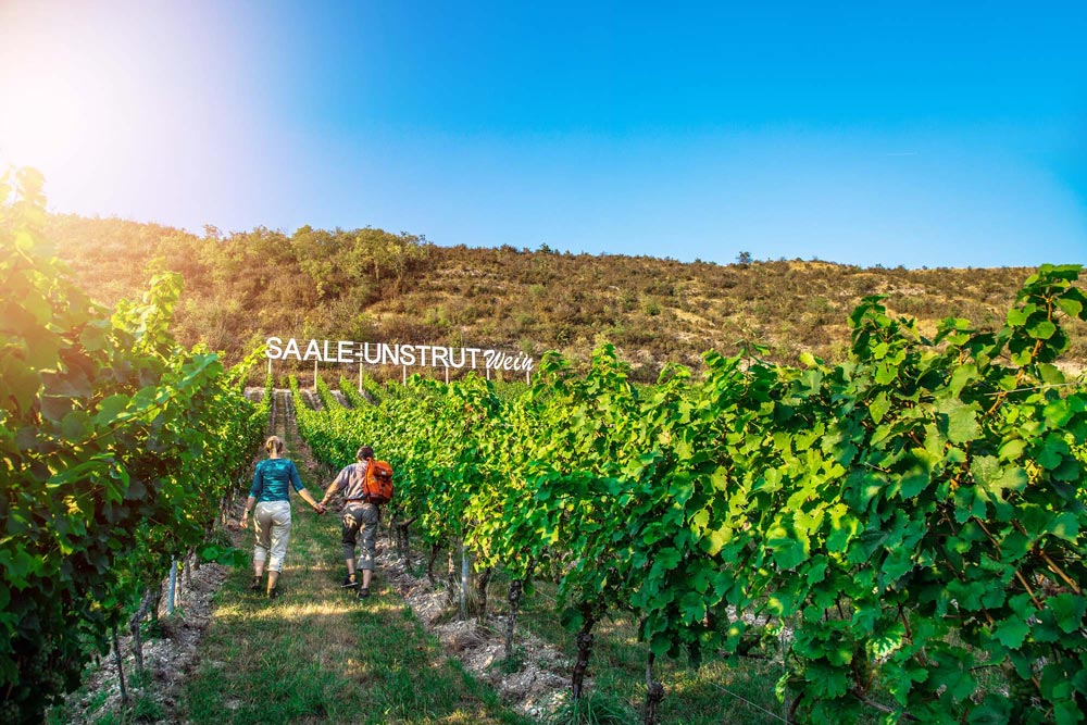 Saale-Unstrut Wein